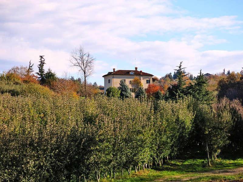 Cascina Bringin Apartment Mondovì Exterior foto